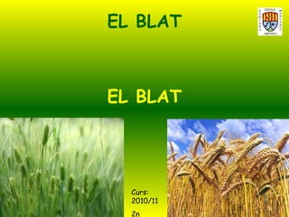 EL BLAT EL BLAT Curs: 2010/11 2n 