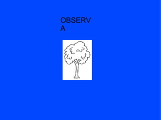 OBSERV
A
 