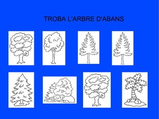 TROBA L'ARBRE D'ABANS
 