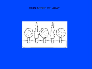 QUIN ARBRE VE ARA?
 