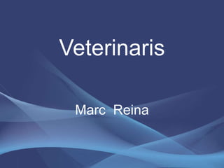 Veterinaris Marc  Reina 