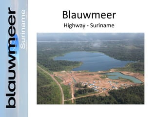 Blauwmeer
Highway - Suriname
 