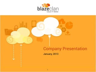Company Presentation
January, 2013




   1
 