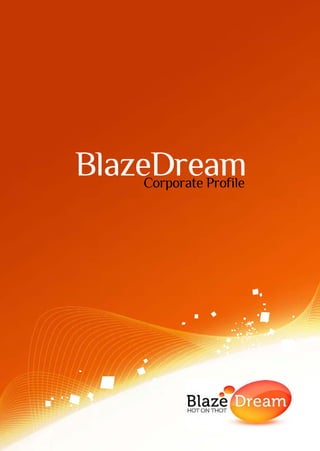 BlazeDream
     Corporate Profile
 