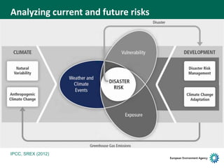 Climate change adaptation and disaster risk reduction – Blaz Kurnik ...