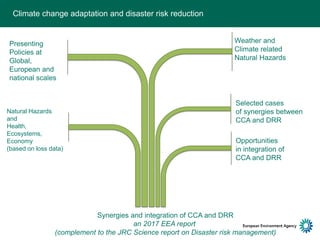 Climate change adaptation and disaster risk reduction – Blaz Kurnik ...