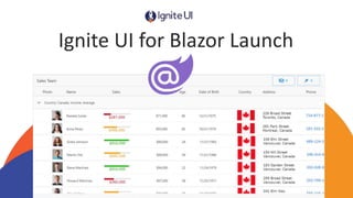 Ignite UI for Blazor Launch
 