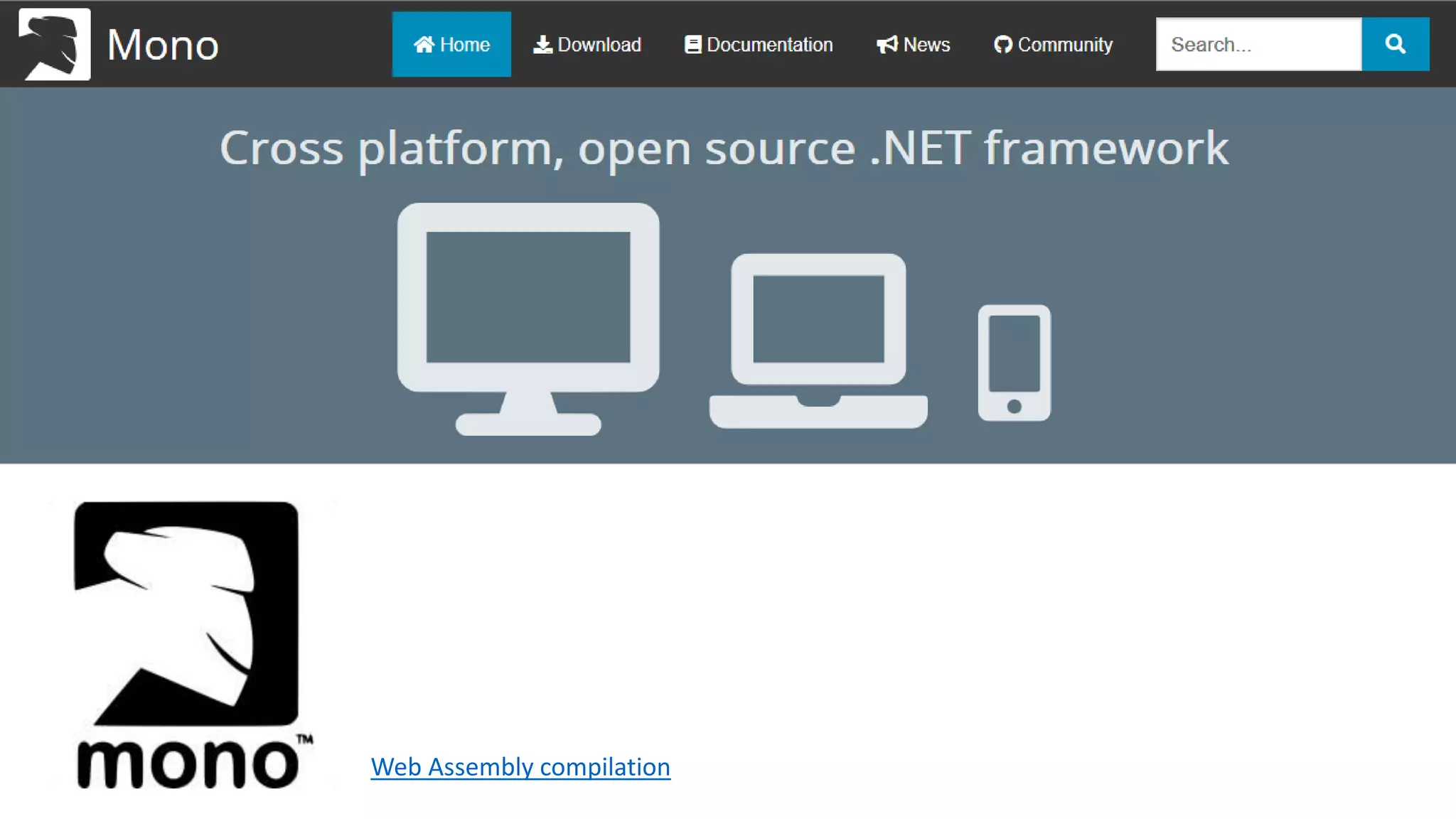 Web Assembly compilation
 