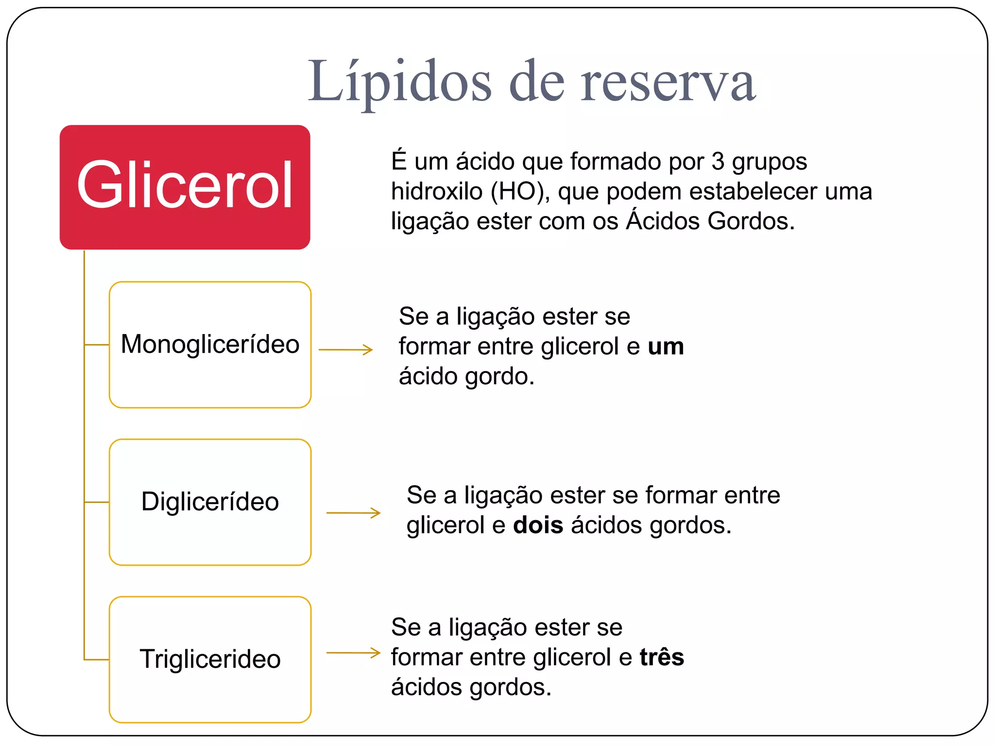 Lípidos de reserva
Glicerol
Monoglicerídeo
Diglicerídeo
Triglicerideo
Se a ligação ester se
formar entre glicerol e um
ácido gordo.
Se a ligação ester se formar entre
glicerol e dois ácidos gordos.
Se a ligação ester se
formar entre glicerol e três
ácidos gordos.
É um ácido que formado por 3 grupos
hidroxilo (HO), que podem estabelecer uma
ligação ester com os Ácidos Gordos.