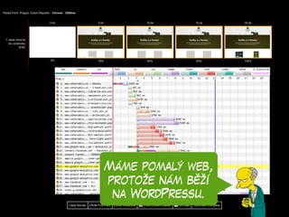 Máme pomalý web,
protože nám běží
na WordPressu.
 