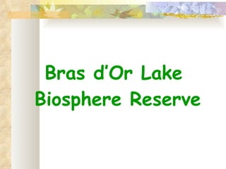 Bras d’Or Lake  Biosphere Reserve 
