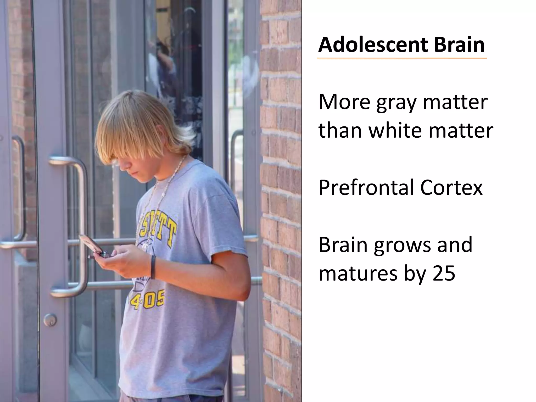 Adolescent BrainMore gray matter than white matterPrefrontal cortex growing and developingBrain continues to grow and matures by the age of 25Teenage brain has a well-developed accelerator but only a partly developed breakNew proliferation of neurons at 11 for girls and 12 for boys
