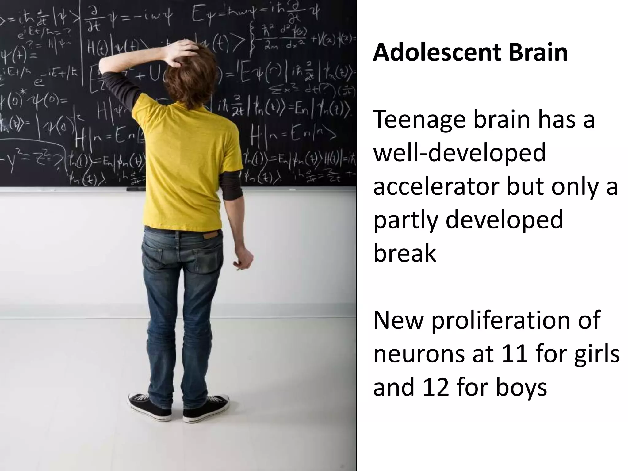 Adolescent BrainMore gray matter than white matterPrefrontal CortexBrain grows and matures by 25ff