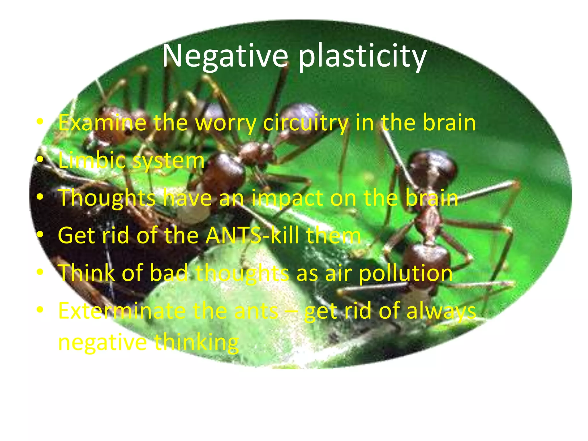 Adolescent BrainTeenage brain has a well-developed accelerator but only a partly developed breakNew proliferation of neurons at 11 for girls and 12 for boystttff