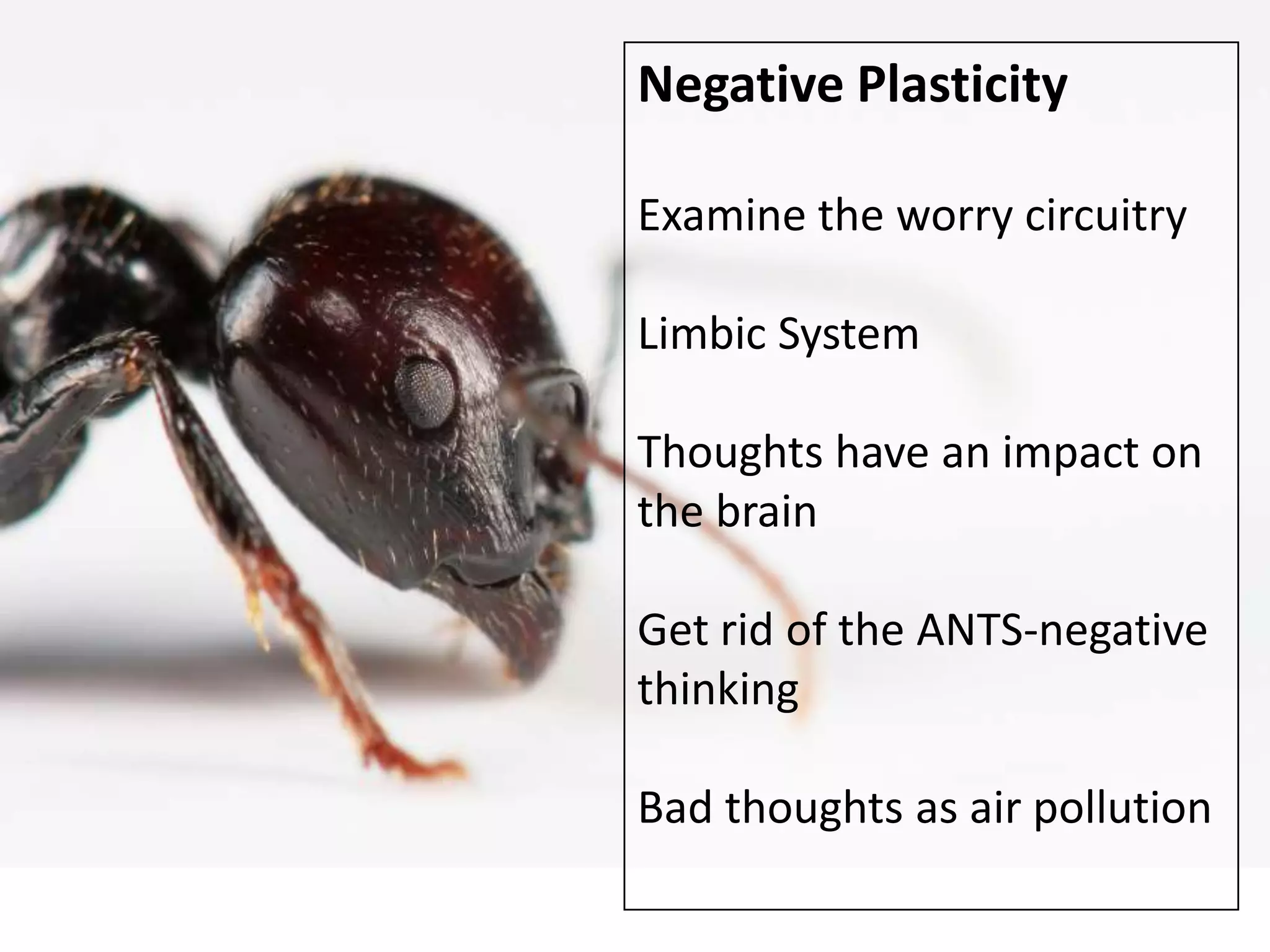 Negative plasticityExamine the worry circuitry in the brainLimbic systemThoughts have an impact on the brainGet rid of the ANTS-kill themThink of bad thoughts as air pollutionExterminate the ants – get rid of always negative thinking