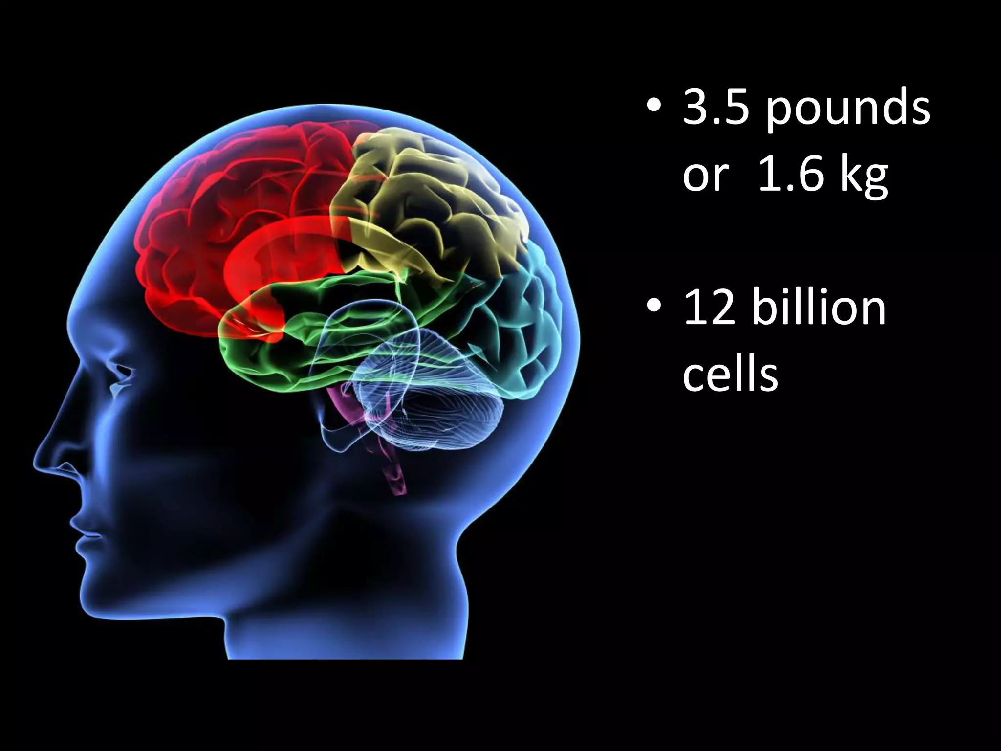 3.5 pounds or  1.6 kg