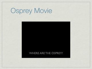 Osprey Movie
 