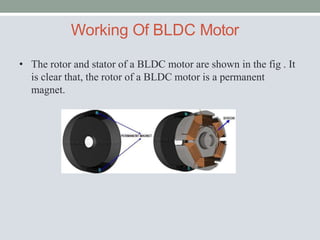 Working Of BLDC Motor
• The rotor and stator of a BLDC motor are shown in the fig . It
is clear that, the rotor of a BLDC motor is a permanent
magnet.
 