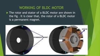 WORKING OF BLDC MOTOR
 The rotor and stator of a BLDC motor are shown in
the fig . It is clear that, the rotor of a BLDC motor
is a permanent magnet.
 