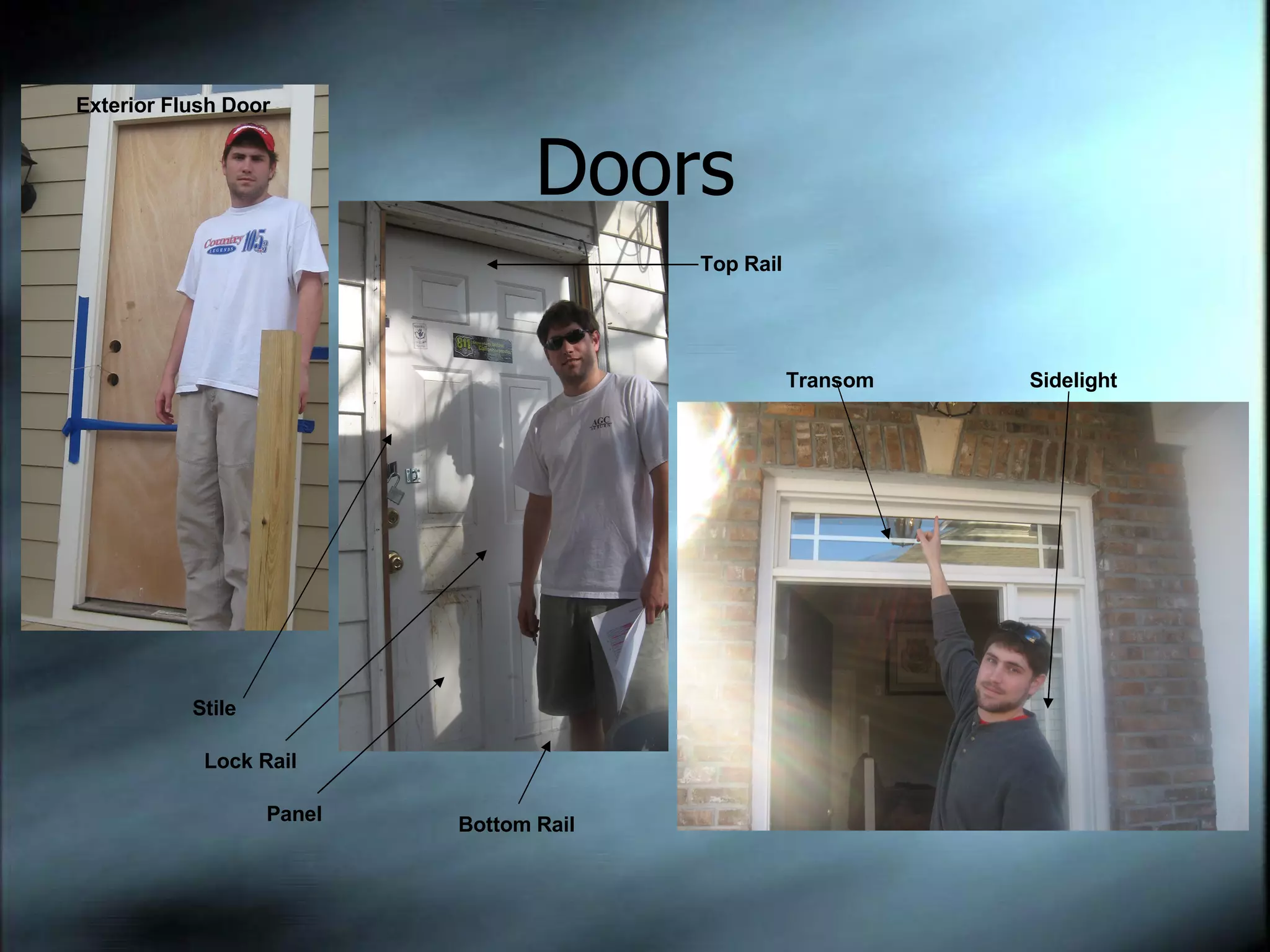 Doors Exterior Flush Door Top Rail Stile Panel Lock Rail Bottom Rail Transom Sidelight 