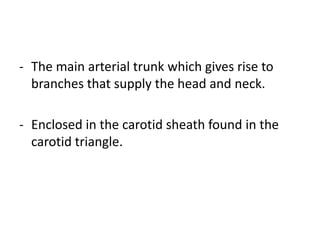 - The main arterial trunk which gives rise to
  branches that supply the head and neck.

- Enclosed in the carotid sheath found in the
  carotid triangle.
 