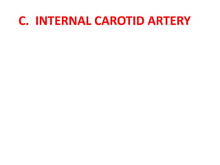 C. INTERNAL CAROTID ARTERY
 