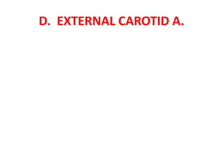D. EXTERNAL CAROTID A.
 