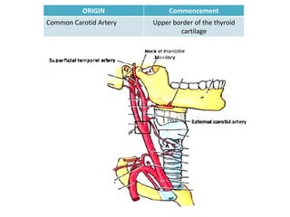 ORIGIN             Commencement
Common Carotid Artery   Upper border of the thyroid
                                cartilage
 