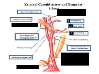 5


6
        4

            3

            2
    7




        1


8
 