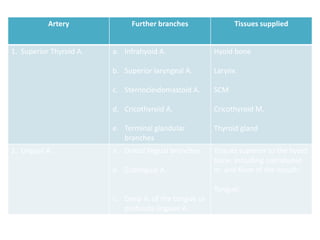 Artery             Further branches               Tissues supplied


1. Superior Thyroid A.   a. Infrahyoid A.              Hyoid bone

                         b. Superior laryngeal A.      Larynx

                         c. Sternocleidomastoid A.     SCM

                         d. Cricothyroid A.            Cricothyroid M.

                         e. Terminal glandular         Thyroid gland
                            branches
2. Lingual A.            a. Dorsal lingual branches    Tissues superior to the hyoid
                                                       bone, including suprahyoid
                         b. Sublingual A.              m. and floor of the mouth;

                                                       Tongue;
                         c. Deep A. of the tongue or
                            profunda linguae A.
 