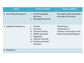 Artery                     Further branches         Tissues supplied

6. Ascending pharyngeal a.   i.  Small Pharyngeal        Pharyngeal walls soft palate,
                                 branches                meninges of the brain
                             ii. Meningeal branches


7. Superficial temporal a.   i.     Parotid              -Parotid duct;
                             ii.    Auricular,           -Temporalis m.;
                             iii.   Transverse facial,   -Portions of the scalp in the
                             iv.    Middle temporal,     frontal and parietal regions
                             v.     Zygomatic,
                             vi.    Anterior terminal,
                             vii.   Posterior terminal
                                    branches

8. Maxillary a.
 