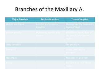 Branches of the Maxillary A.
      Major Branches        Further Branches         Tissues Supplied
Middle meningeal       Anterior and posterior   Meninges of the brain and
                       branches                 bones of skull

Inferior alveolar      Mylohyoid, mental, and   Mandibular teeth, floor of
                       incisive                 the mouth, and mental
                                                region

Deep temporal                                   Temporalis m.
Pterygoid                                       Lateral and medial
                                                pterygoid

Masseteric                                      Masseter m. and TMJ
Buccal                                          Buccinator m. and buccal
                                                region
 