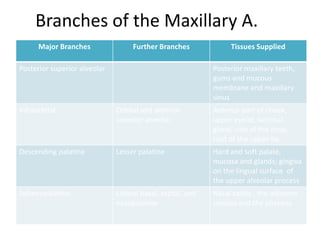 Branches of the Maxillary A.
      Major Branches               Further Branches             Tissues Supplied

Posterior superior alveolar                                Posterior maxillary teeth,
                                                           gums and mucous
                                                           membrane and maxillary
                                                           sinus
Infraorbital                  Orbital and anterior         Anterior part of cheek,
                              superior alveolar            upper eyelid, lacrimal
                                                           gland, side of the nose,
                                                           root of the upper lip
Descending palatine           Lesser palatine              Hard and soft palate,
                                                           mucosa and glands; gingiva
                                                           on the lingual surface of
                                                           the upper alveolar process
Sphenopalatine                Lateral nasal, septal, and   Nasal cavity , the adjacent
                              nasopalatine                 sinuses and the pharynx
 