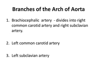 Branches of the Arch of Aorta
1. Brachiocephalic artery - divides into right
   common carotid artery and right subclavian
   artery.

2. Left common carotid artery

3. Left subclavian artery
 