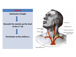 COURSE
      Subclavian triangle



Beneath the clavicle up the level
         of the 1st rib



  Terminates as the axillary a.
 