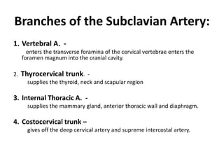 Branches of the Subclavian Artery:
1. Vertebral A. -
       enters the transverse foramina of the cervical vertebrae enters the
     foramen magnum into the cranial cavity.

2.   Thyrocervical trunk. -
       supplies the thyroid, neck and scapular region

3. Internal Thoracic A. -
       supplies the mammary gland, anterior thoracic wall and diaphragm.

4. Costocervical trunk –
       gives off the deep cervical artery and supreme intercostal artery.
 