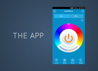 THE APP
 