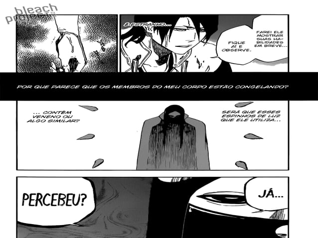 Bleach cap 501 [sugoi scans] | PPT
