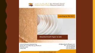 Bleached Kraft Paper in UAE