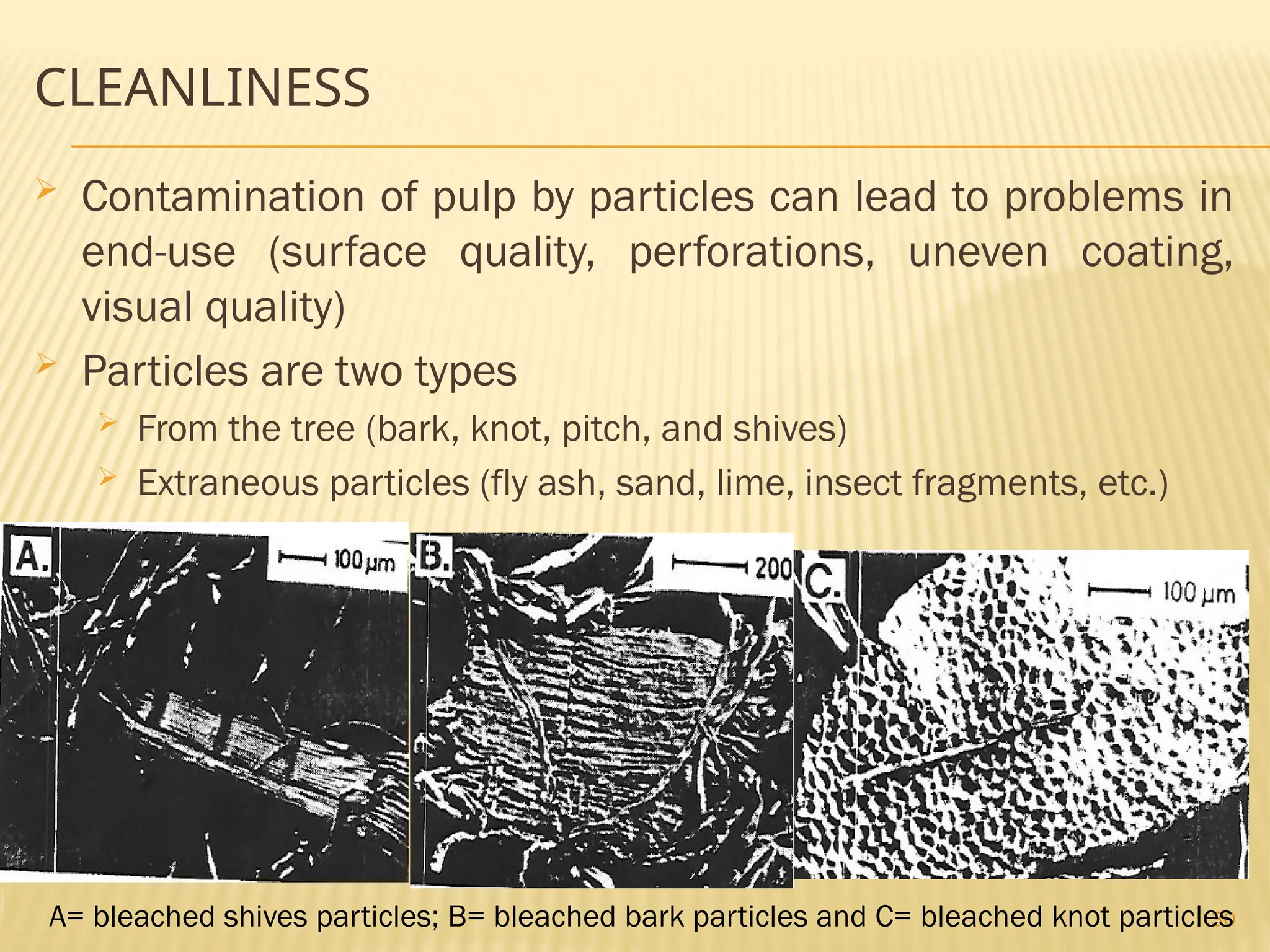30
CLEANLINESS
 Contamination of pulp by particles can lead to problems in
end-use (surface quality, perforations, uneven coating,
visual quality)
 Particles are two types
 From the tree (bark, knot, pitch, and shives)
 Extraneous particles (fly ash, sand, lime, insect fragments, etc.)
A= bleached shives particles; B= bleached bark particles and C= bleached knot particles
 
