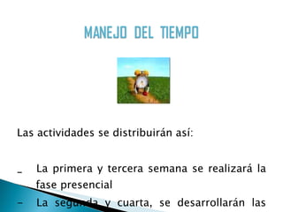 Las actividades se distribuirán así: _  La primera y tercera semana se realizará la fase presencial -  La segunda y cuarta, se desarrollarán las actividades  virtuales 