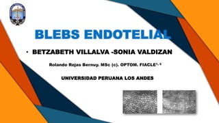 BLEBS ENDOTELIAL
• BETZABETH VILLALVA -SONIA VALDIZAN
Rolando Rojas Bernuy. MSc (c). OPTOM. FIACLE1, 2
UNIVERSIDAD PERUANA LOS ANDES
 