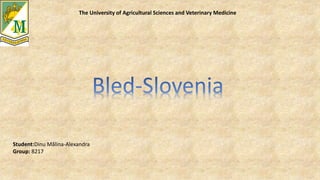 The University of Agricultural Sciences and Veterinary Medicine
Student:Dinu Mălina-Alexandra
Group: 8217
 