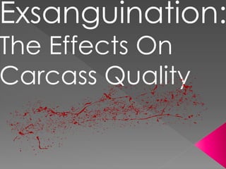 Exsanguination:
The Effects On
Carcass Quality
 