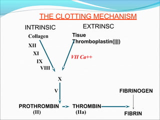 THE CLOTTING MECHANISM
FIBRINOGEN
FIBRIN
PROTHROMBIN
(II)
THROMBIN
(IIa)
(I)
V
X
EXTRINSC
Tisue
Thromboplastin(|||)
VII Ca++
INTRINSIC
Collagen
XII
XI
IX
VIII
 