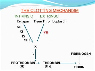 THE CLOTTING MECHANISM
FIBRINOGEN
FIBRIN
PROTHROMBIN
(II)
THROMBIN
(IIa)
(I)
V
X
EXTRINSC
Tisue Thromboplastin
VII
INTRINSIC
Collagen
XII
XI
IX
VIII
 