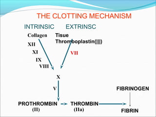 THE CLOTTING MECHANISM
FIBRINOGEN
FIBRIN
PROTHROMBIN
(II)
THROMBIN
(IIa)
(I)
V
X
EXTRINSC
Tisue
Thromboplastin(|||)
VII
INTRINSIC
Collagen
XII
XI
IX
VIII
 