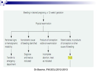 Dr.Basma ,FM,SCU,2012-2013
 