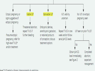 Dr.Basma ,FM,SCU,2012-2013
 