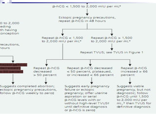Dr.Basma ,FM,SCU,2012-2013
 